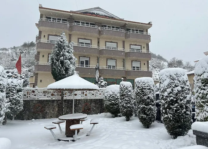 Toska Hotel 3*